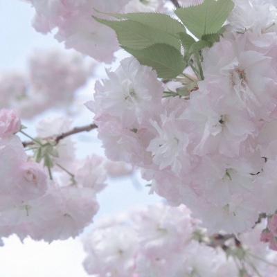 兽设Q版设计实用教程兽圈群